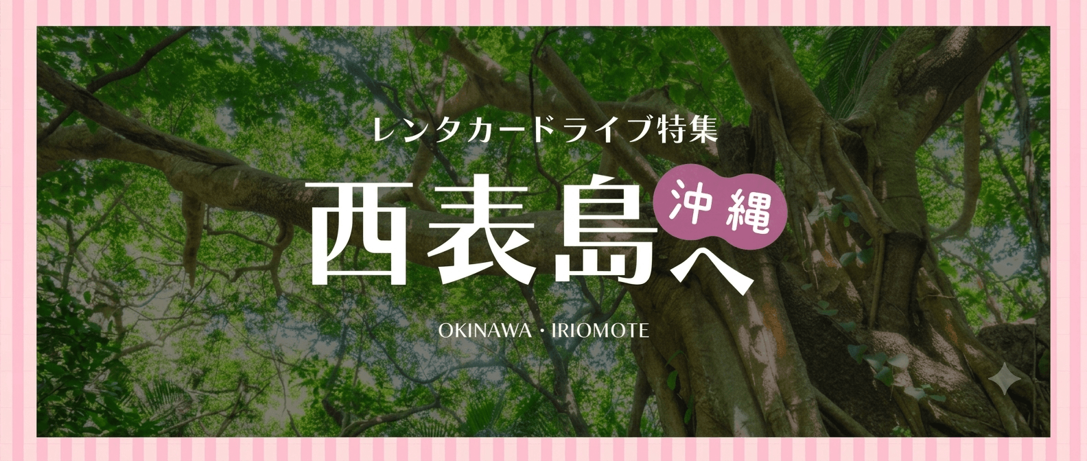 西表島特集