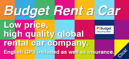 Budget Rent a Car