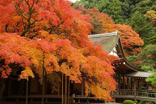 雷山千如寺