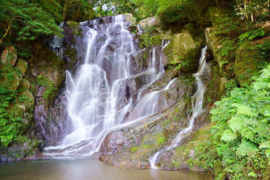 白糸の滝