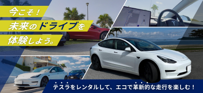 沖縄テスラ特集